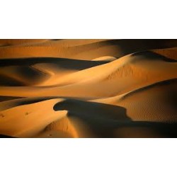 SAND DUNE - SOY