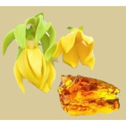 YLANG AMBER -- AROMA SCENTED GRANULES -- 50gr