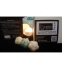 WHITE WAX WARMER